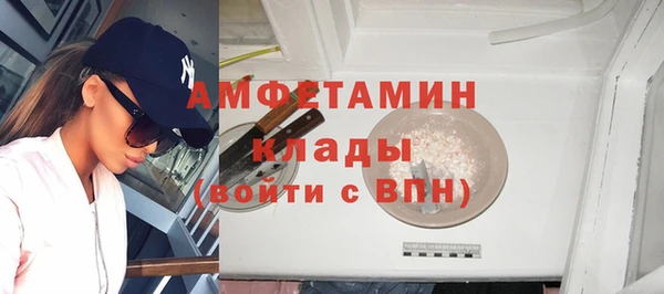 прущие грибы Пересвет