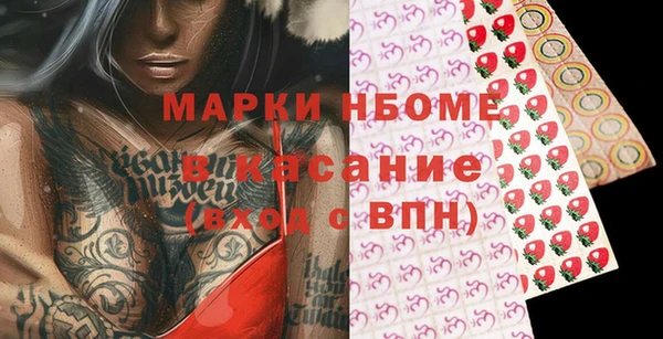 прущие грибы Пересвет