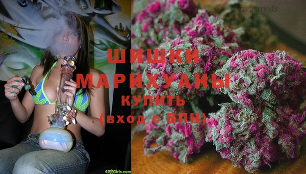 прущий лед Арсеньев