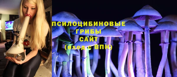 гидропоника Аркадак